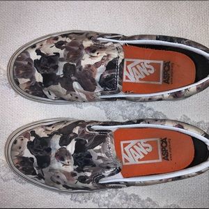 Limited edition dog vans